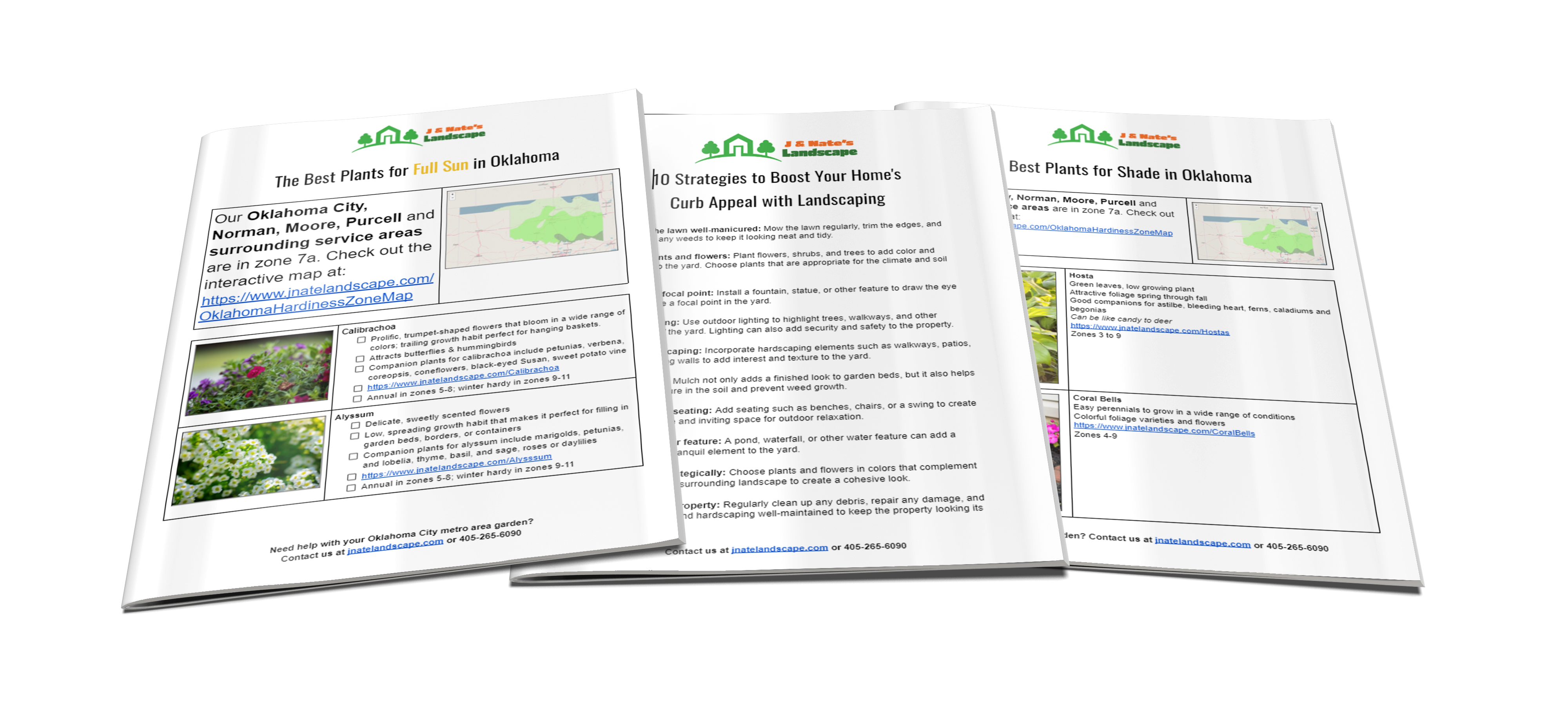 Lawn and Landscaping Checklists