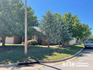 Norman home with a beautiful green lawn and shade trees